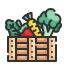 Vegetables & Fruits